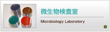 微生物検査室