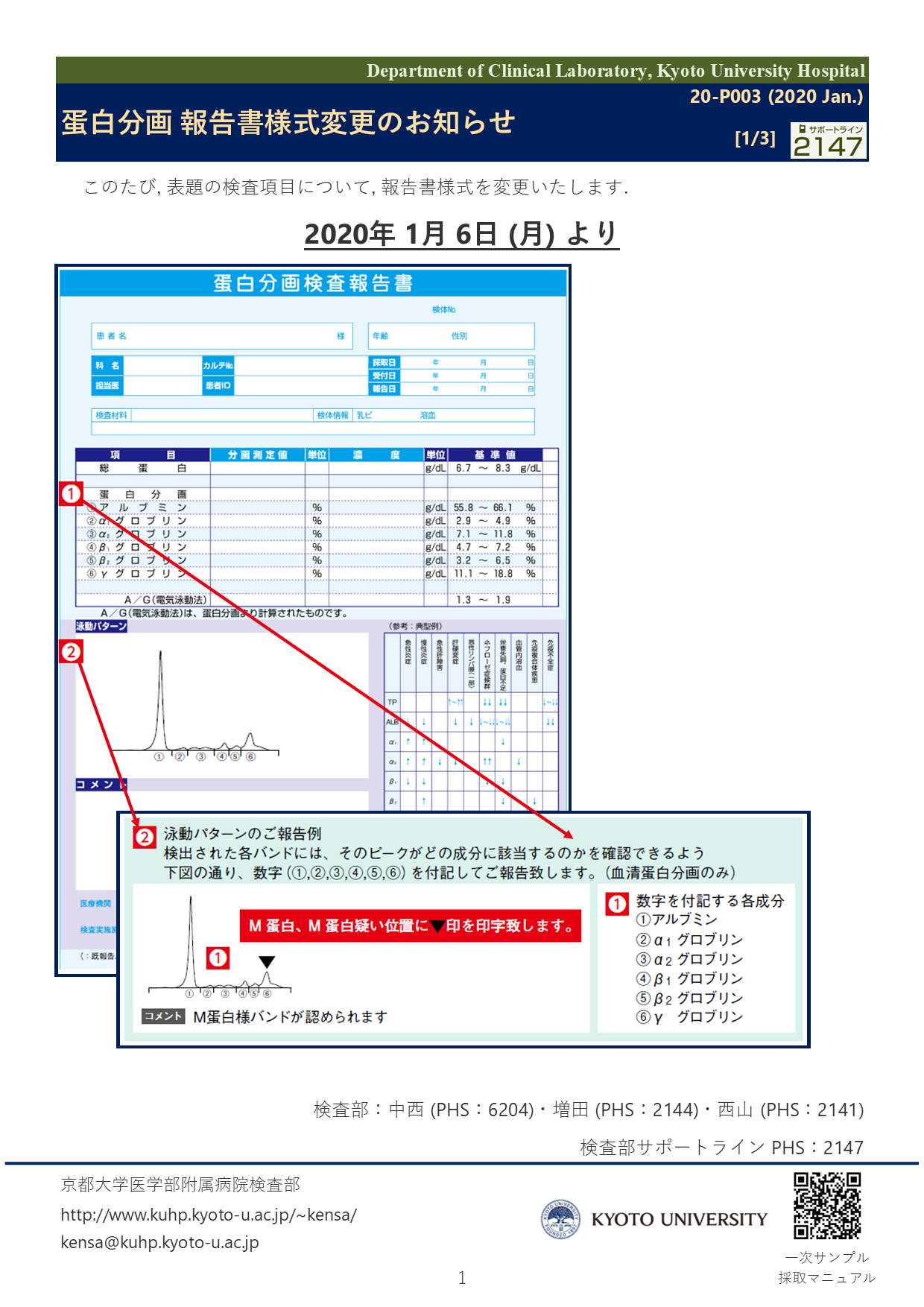 【2020 Jan.】<br />蛋白分画 報告書様式変更のお知らせ