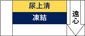 -尿上清-凍結--遠心