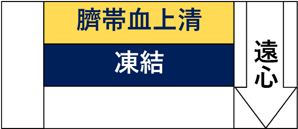 -臍帯血上清-凍結--遠心