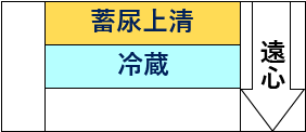 -蓄尿上清-冷蔵--遠心