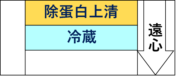 -除蛋白上清-冷蔵--遠心
